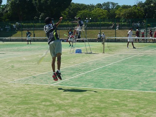 勢木