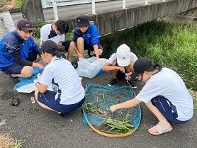 R5_自然科学部千種川調査3