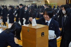 投票