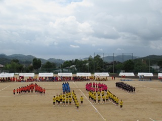 AIOI 49