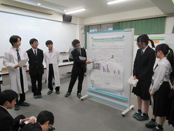 相生高校植物アレロパシー