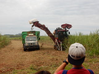 ブラジル研修