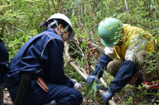 県立有馬富士公園　里山管理