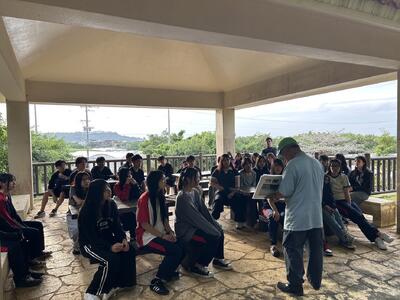 ヌマヌチガマ①