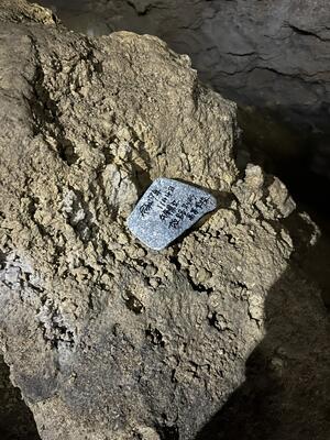 ターガーガマ①