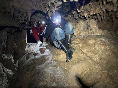 ターガーガマ③