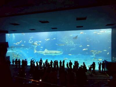 大水槽と生徒