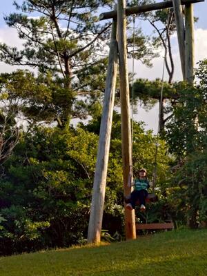 大きなブランコ