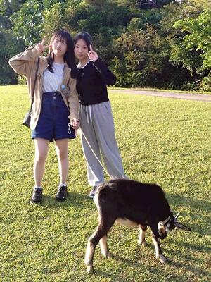 ヤギと2人の女の子