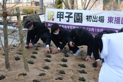 植樹をする3年生野球部員のみなさん