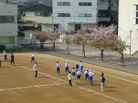 朝の運動