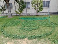 アンパンマン