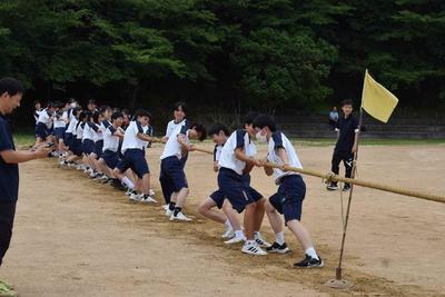 姫路商業,体育大会,学年演技