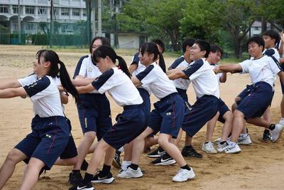 姫路商業,体育大会,学年演技