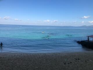 マリン体験、姫商