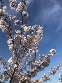 姫路商業,卒業,先輩,２回生