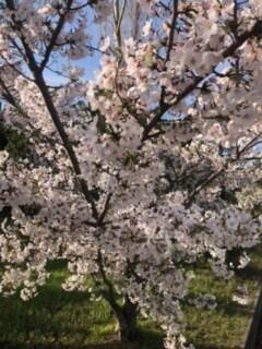 姫路商業,卒業,２回生,OBOG