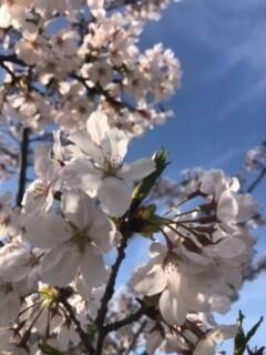 姫路商業,卒業,２回生,OBOG