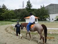 ポニー乗馬体験