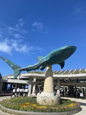 美海水族館入り口