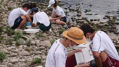 千種川水生生物物調査