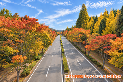 深まる秋、芸術の秋へ ～芸術鑑賞会を前に～