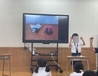 作品発表会