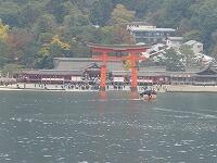 フェリーから見た鳥居