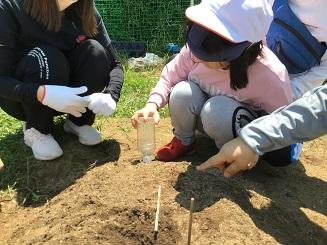 これが意外とむずかしい…