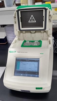 PCR