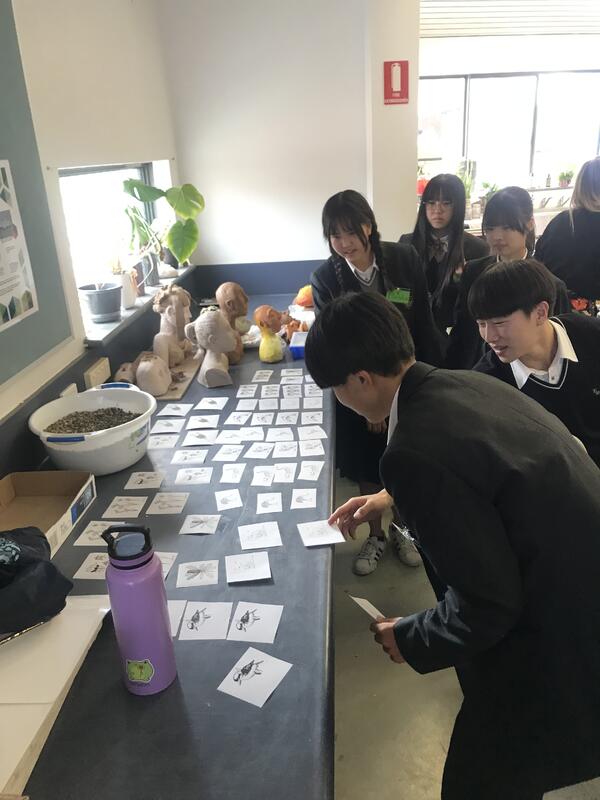 題材を選んでいます。