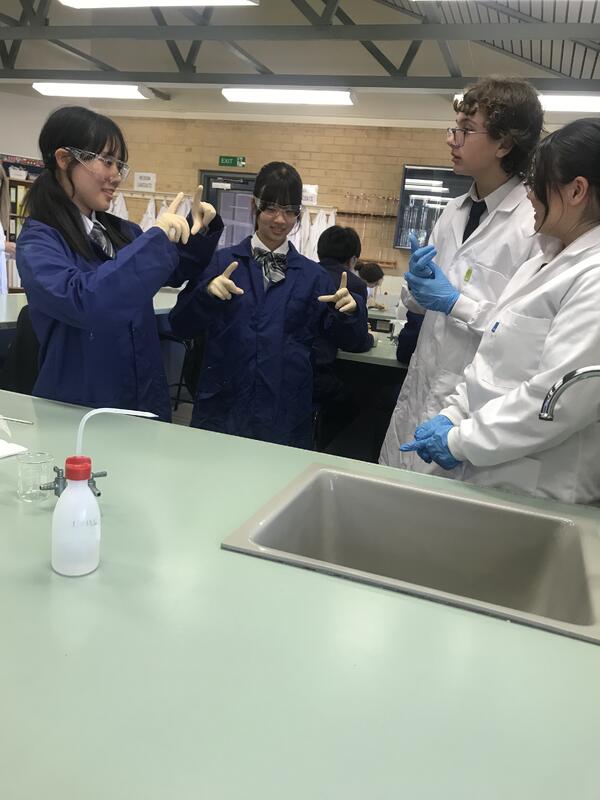 楽しく会話をしています。
