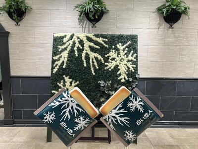 白い恋人パーク