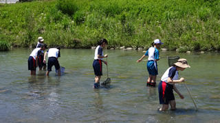 武庫川でのフィールドワーク